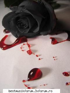 ***True love exists*** - I : ce e....? T: nu...nu vrei sa....mergi acum in - Tokio hotel